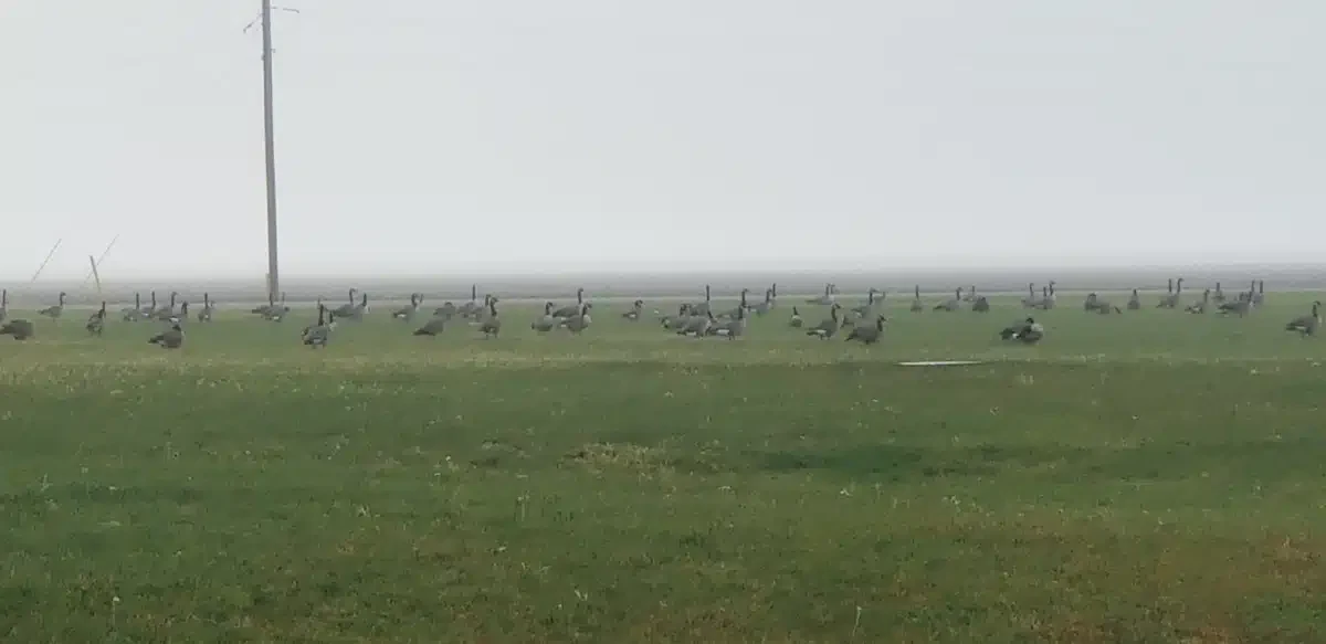 Henderson County Health Center - Thumbnail 3