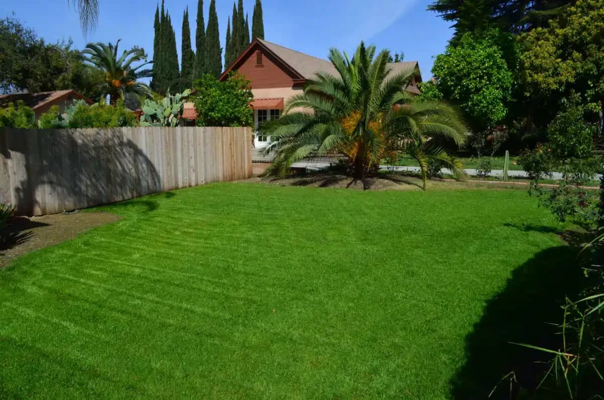 His House Palm Recovery - Thumbnail 3