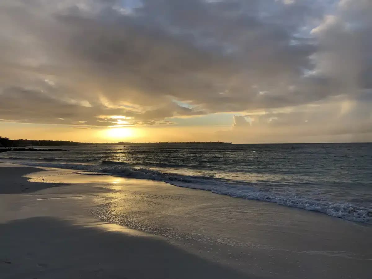 Horizon Behavioral Health PLLC