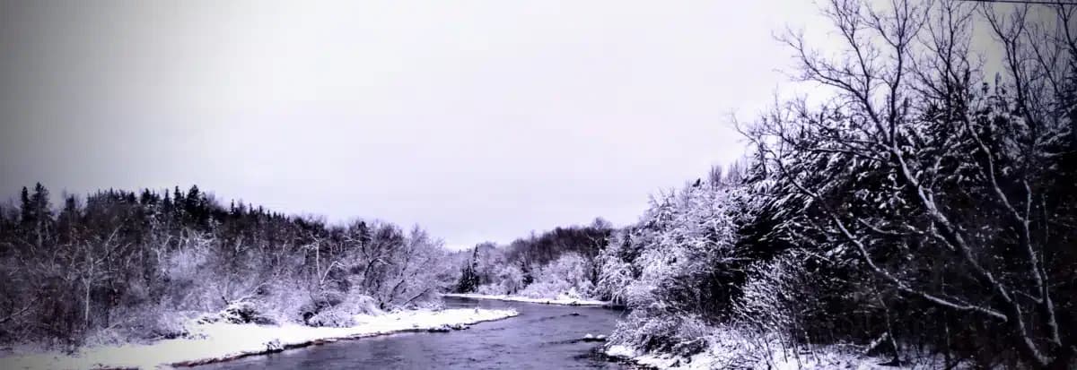 Houlton Band of Maliseet Indians - Thumbnail 5