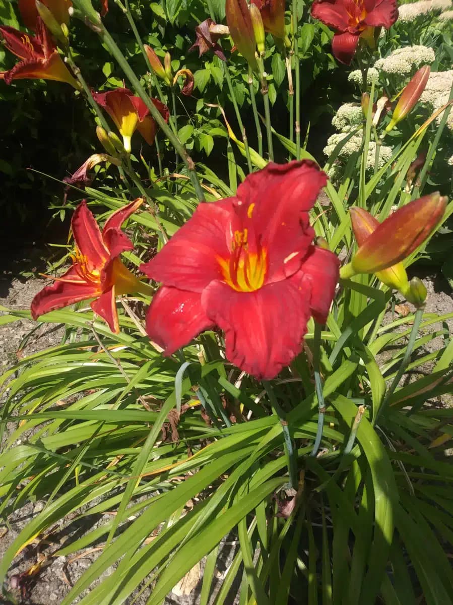 IKRON Corporation of Greater Seattle - Thumbnail 2