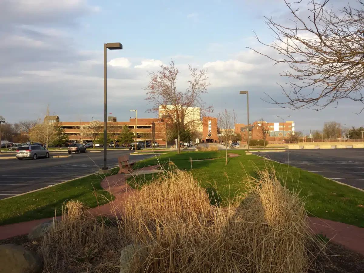 IU Health Ball - Thumbnail 3