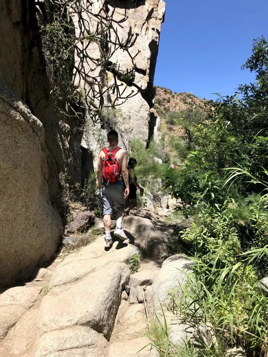 Illuminate Recovery LLC - Thumbnail 9