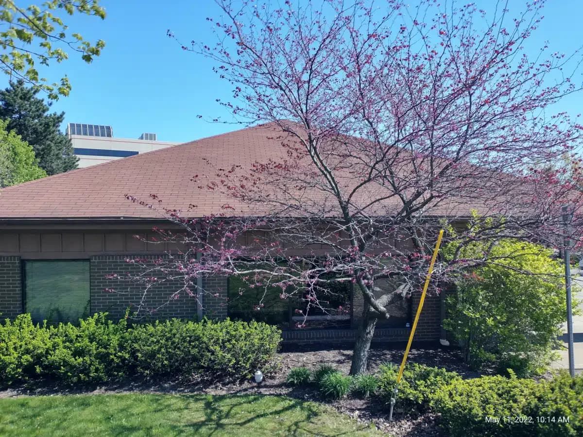 Jade Wellness Center - Thumbnail 5