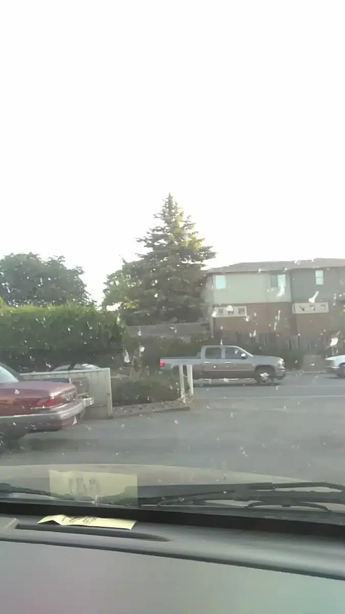 Janus South County - Thumbnail 2