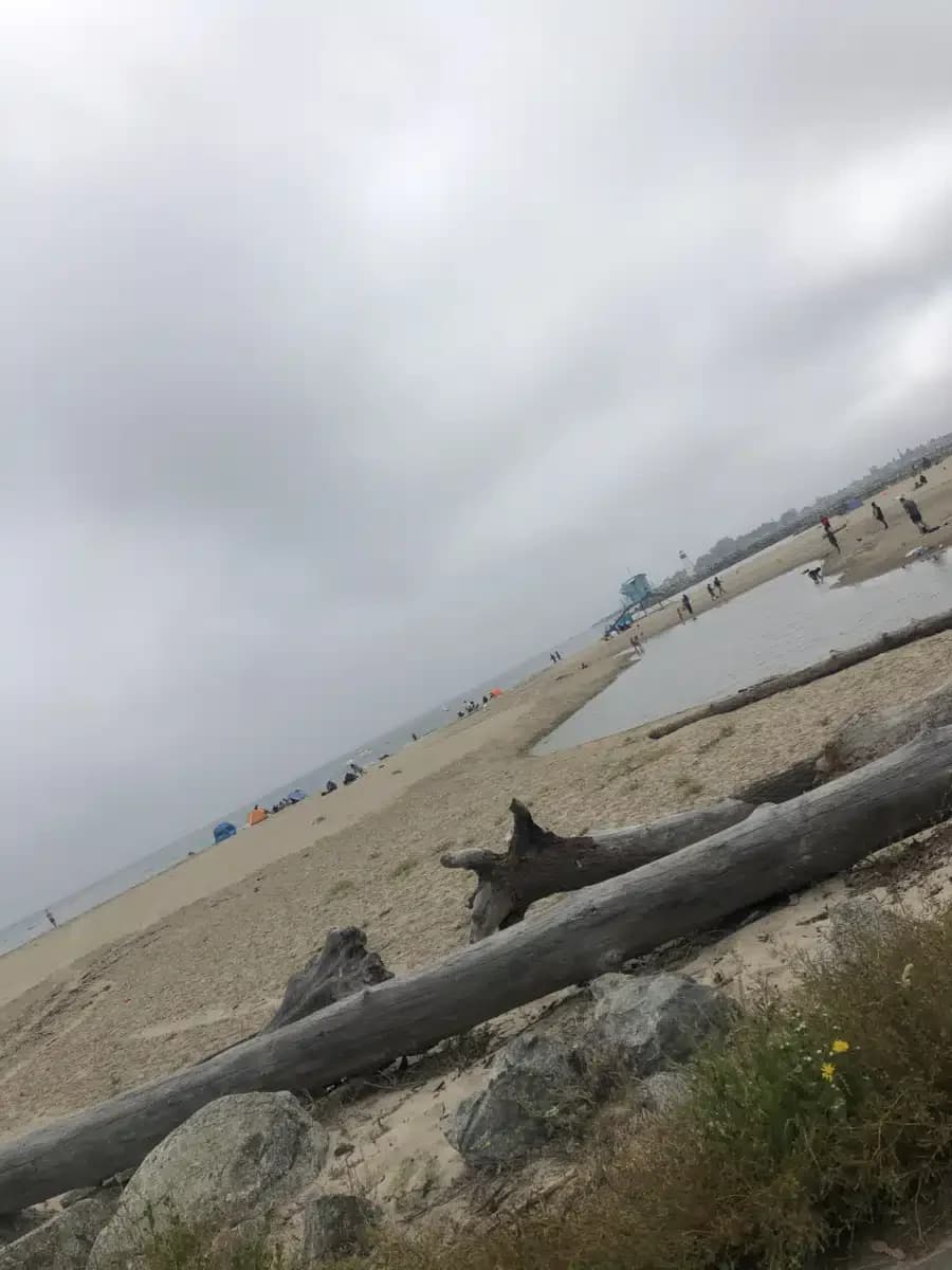 Janus of Santa Cruz - Thumbnail 4