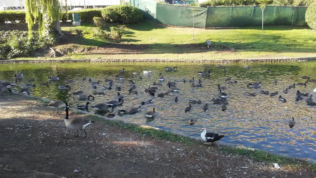 Jerry L Pettis Memorial VA Med Center - Thumbnail 5