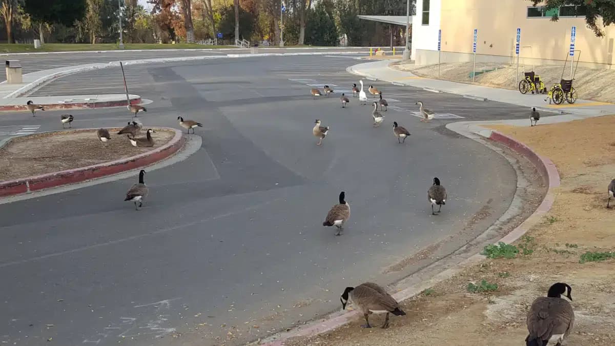 Jerry L Pettis Memorial VA Med Center - Thumbnail 6