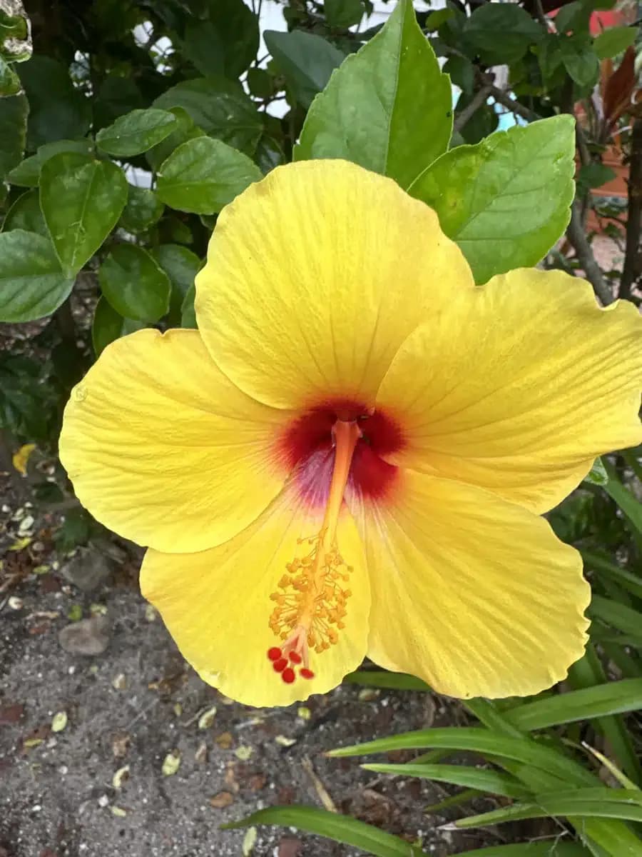 Johnston Recovery Services - Thumbnail 4