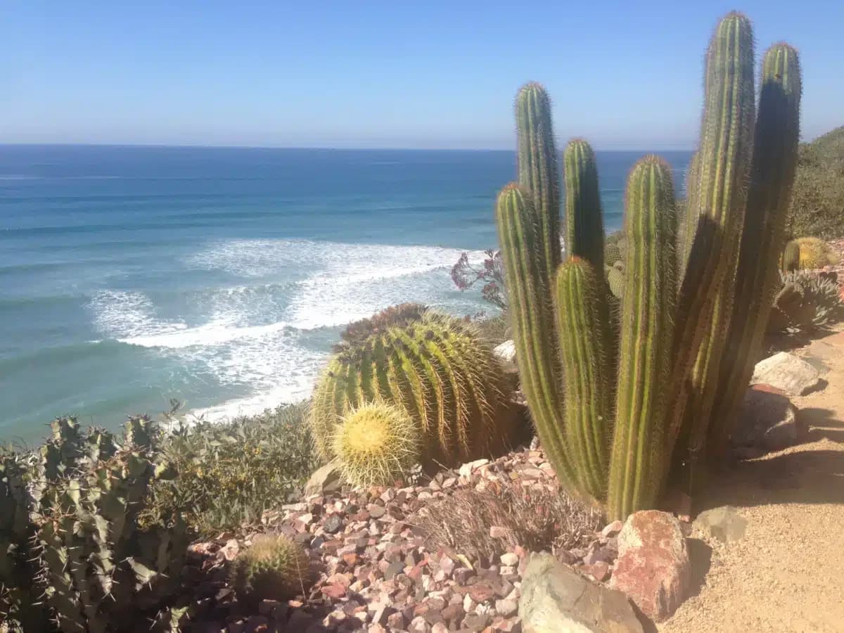 Kali West LLC - Thumbnail 2