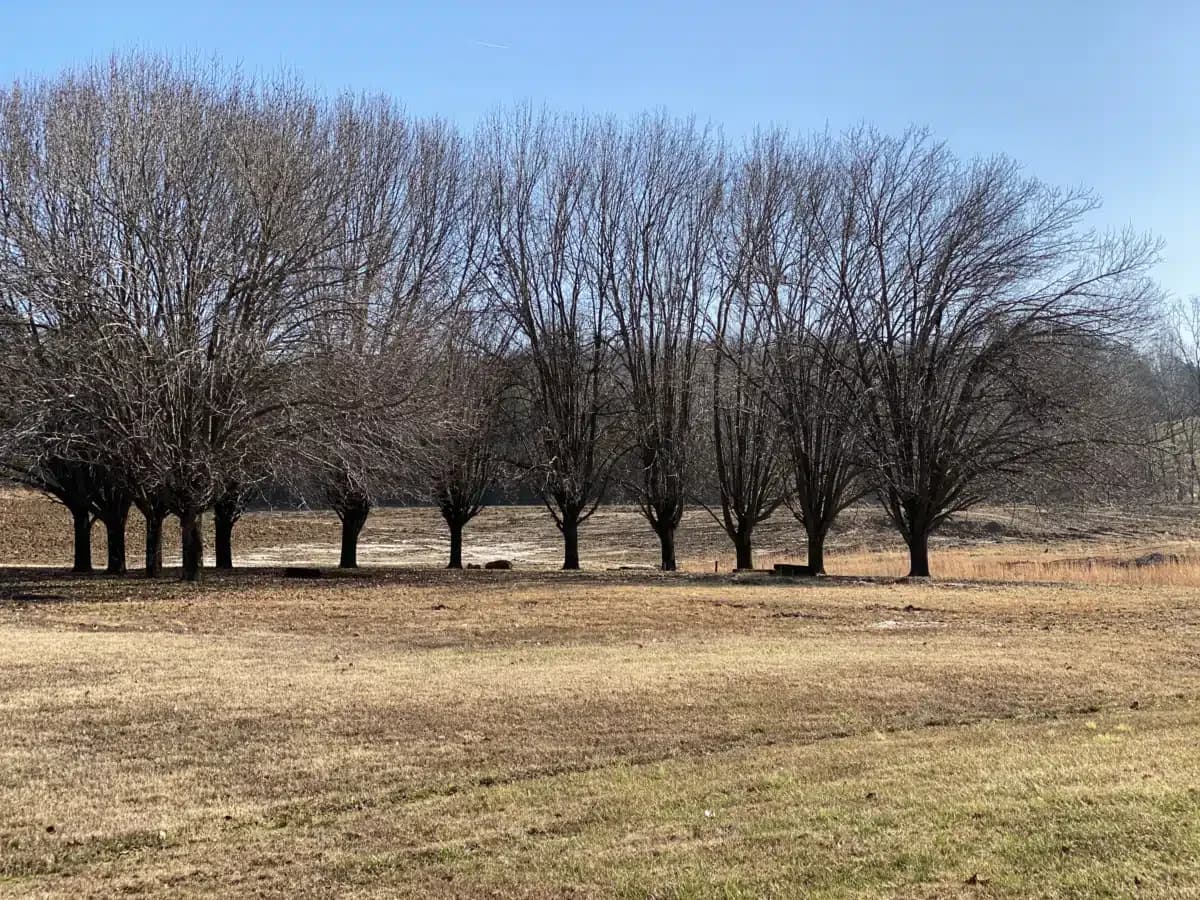 Kentucky Christian Recovery - Thumbnail 6