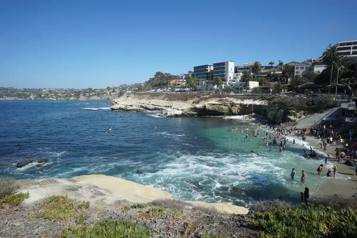 La Jolla Recovery - Thumbnail 4