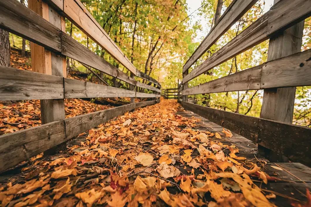 Lakeside Academy - Thumbnail 6