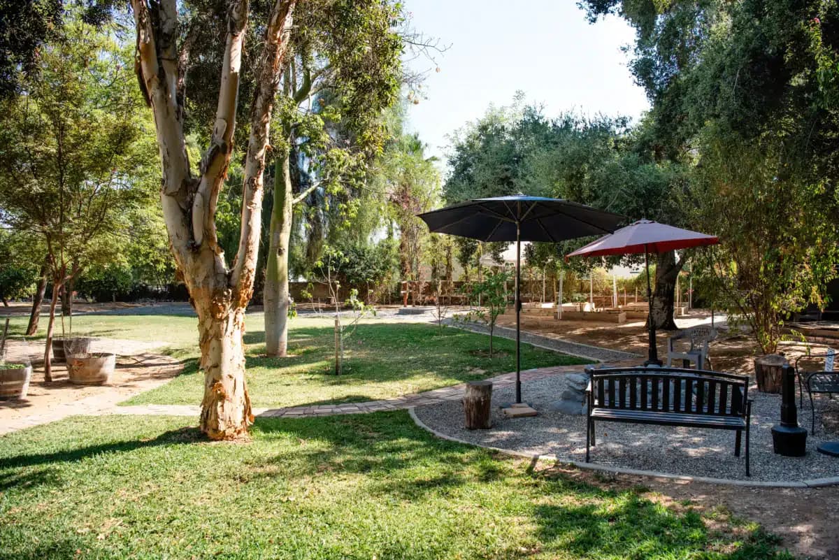 Liberty House Recovery - Thumbnail 8