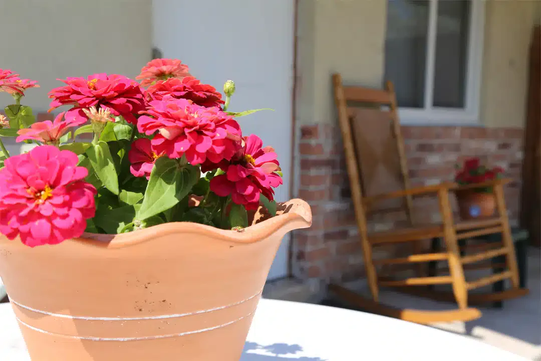 Lighthouse Recovery Institute - Thumbnail 3