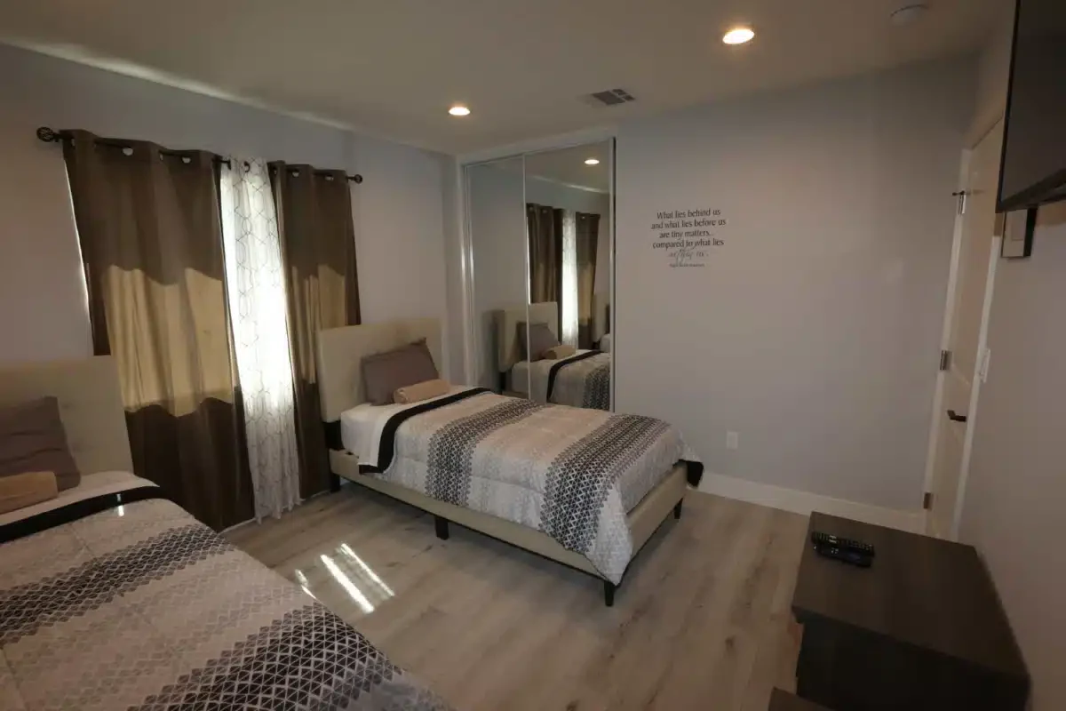 Lion Recovery - Thumbnail 10