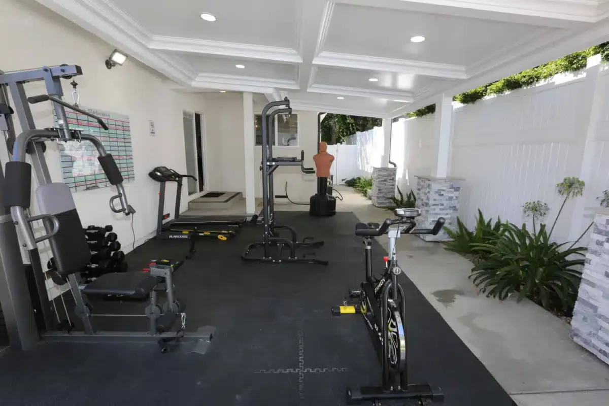 Lion Recovery - Thumbnail 6