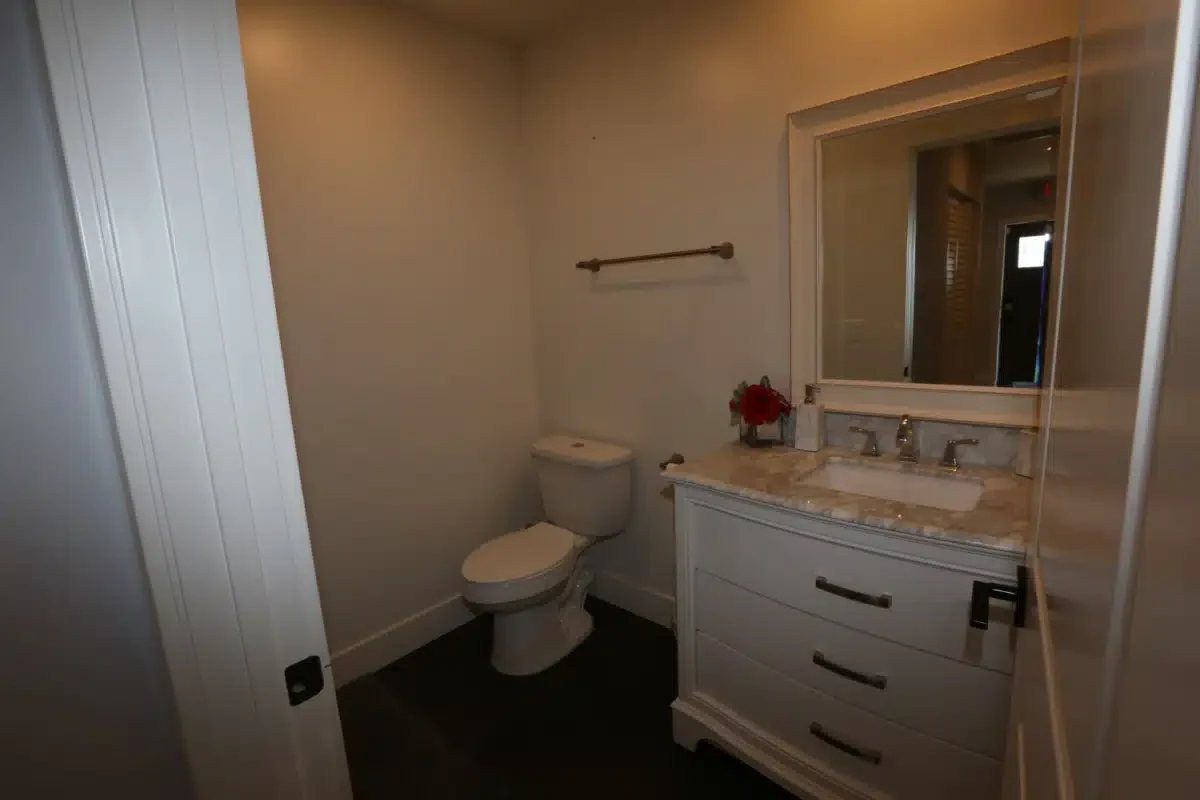 Lion Recovery - Thumbnail 8