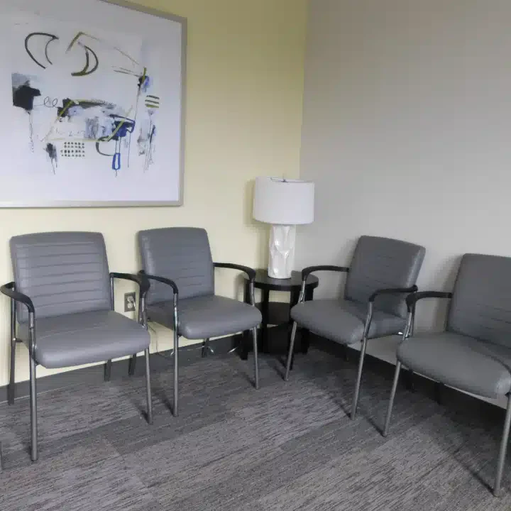 Lionrock Recovery - Thumbnail 7