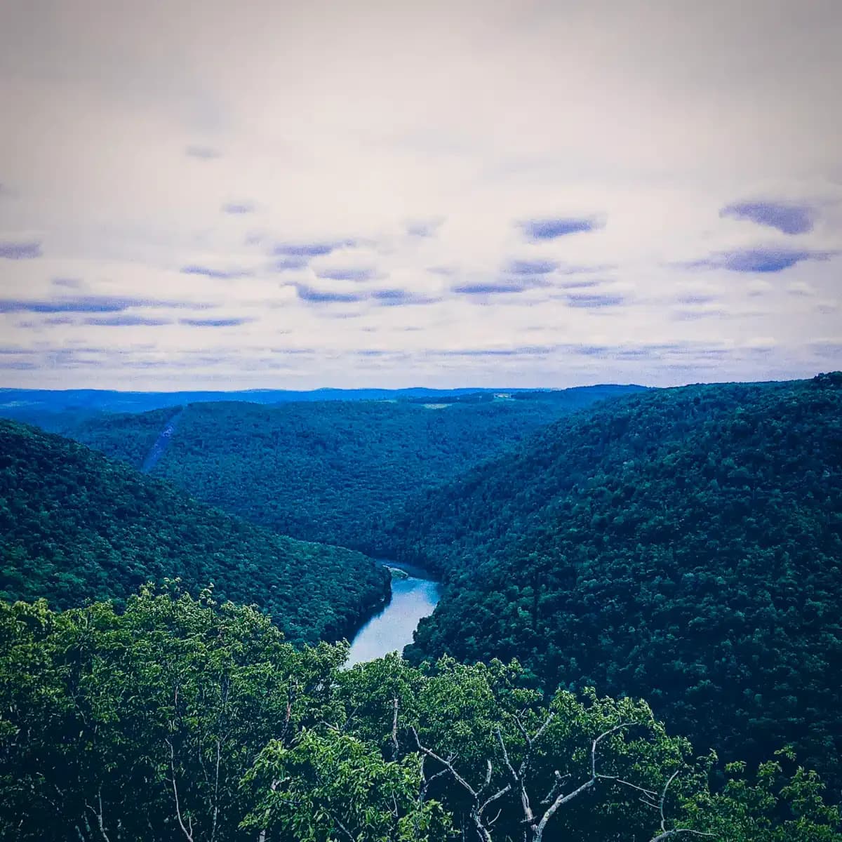 Lotus Recovery Centers - Thumbnail 8