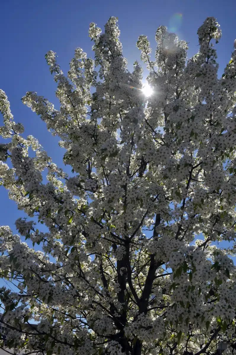 Maine Behavioral Healthcare - Thumbnail 10