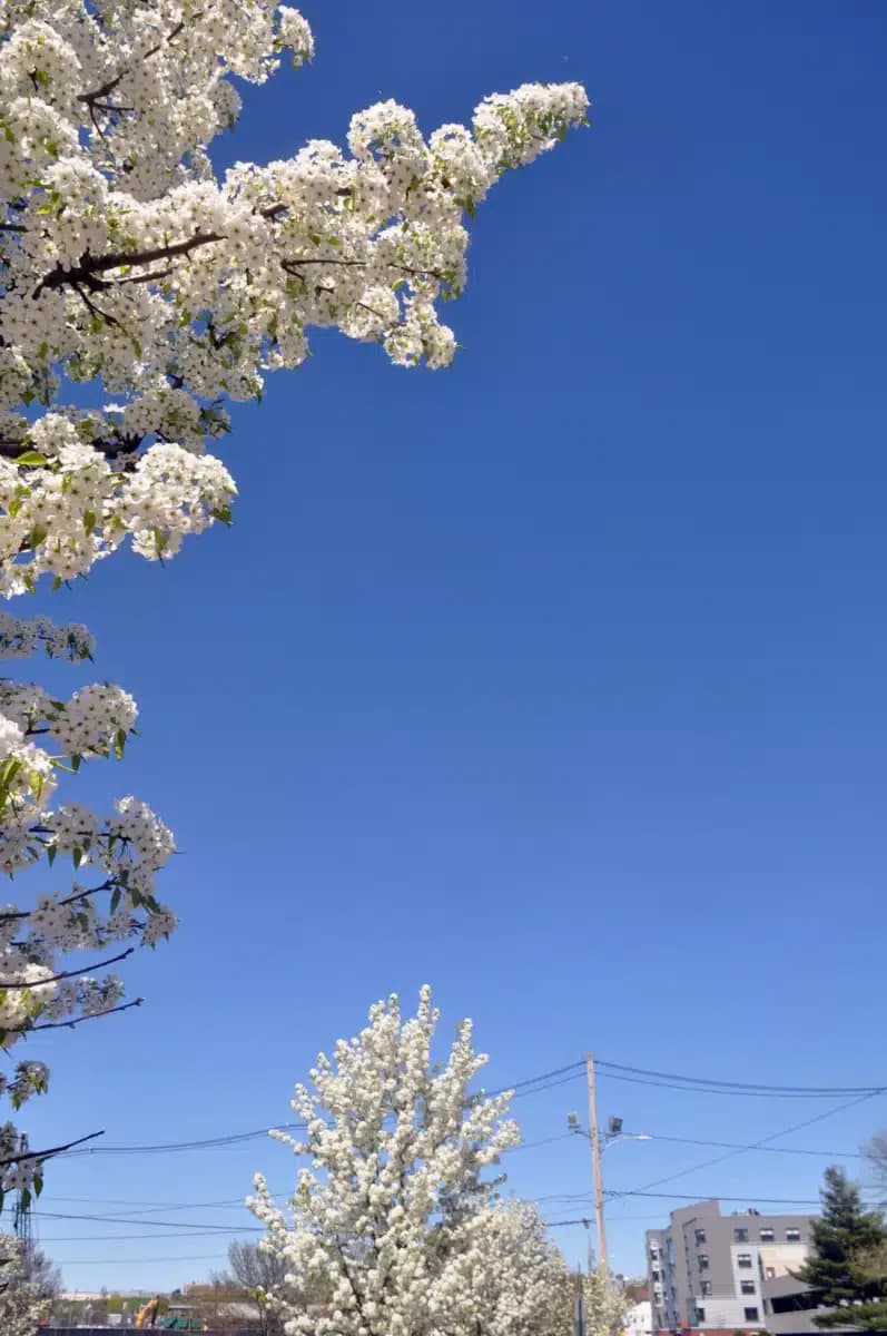 Maine Behavioral Healthcare - Thumbnail 6