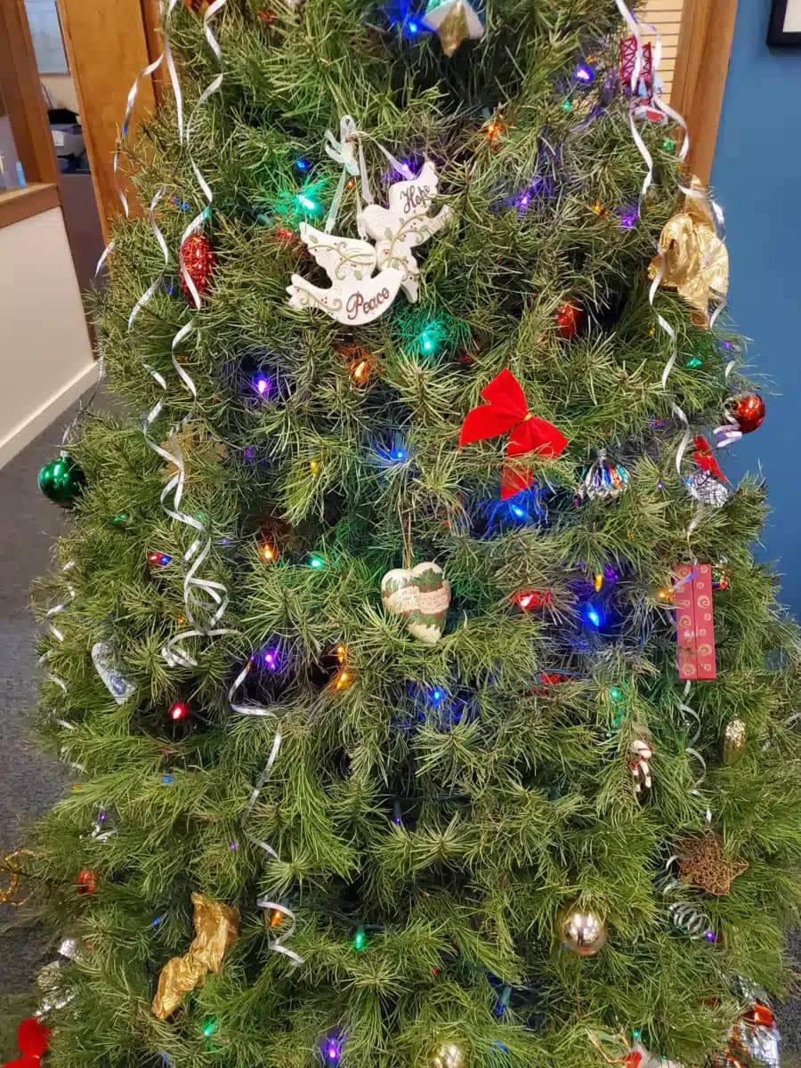 Marin Treatment Center