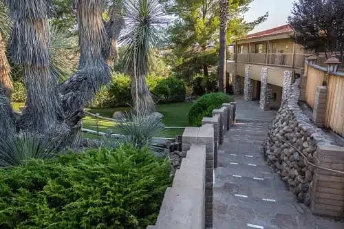 Meadows - Thumbnail 2