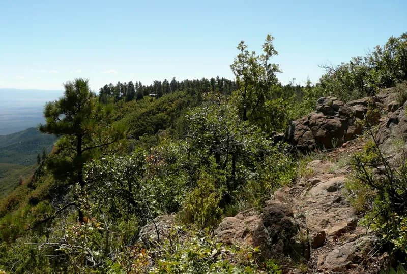 Mingus Mountain - Thumbnail 3