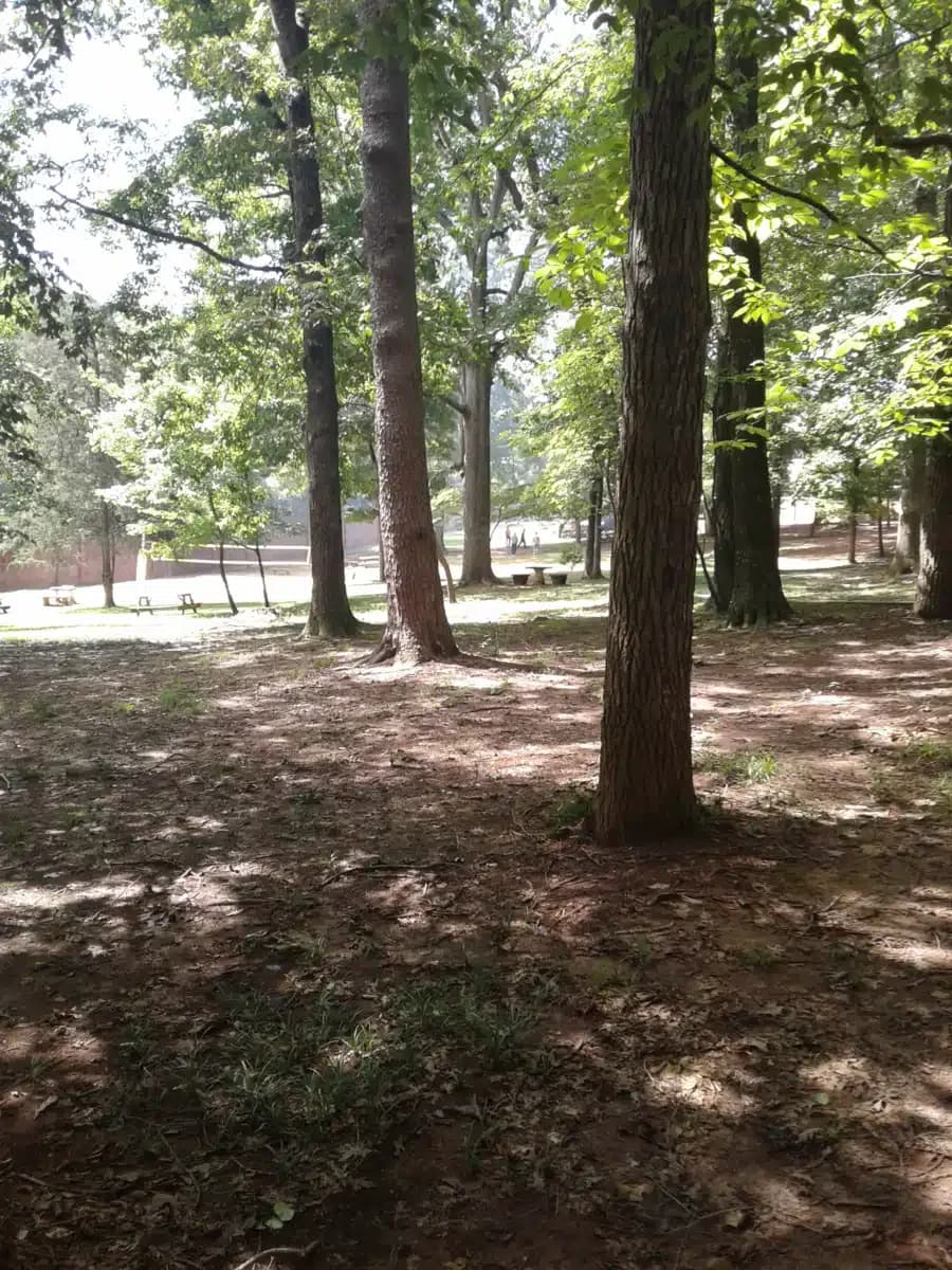 Miracle Hill - Thumbnail 5