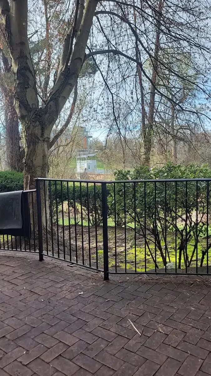 Mosaic Community Services