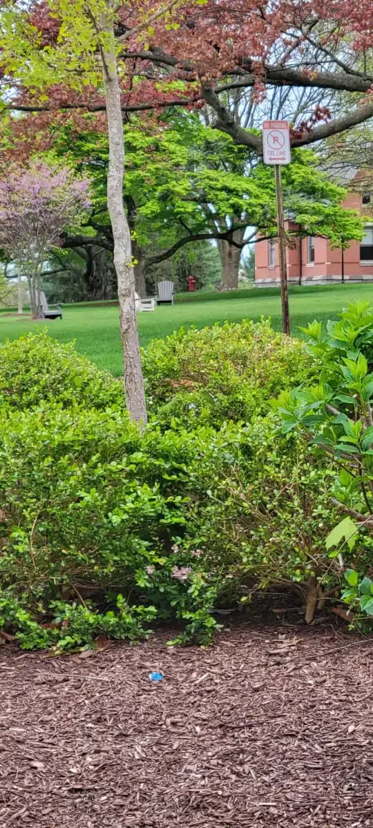 Mosaic Community Services - Thumbnail 3