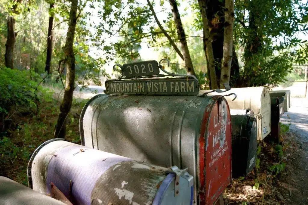 Mountain Vista Farm - Thumbnail 8