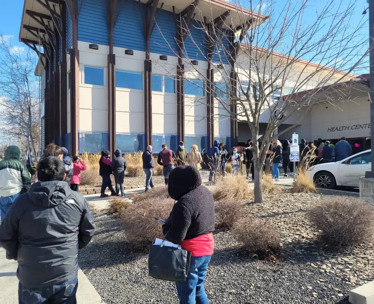 NATIVE Project - Thumbnail 5