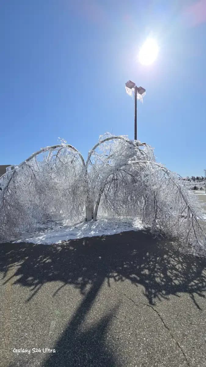 NMSAS Recovery Center - Thumbnail 2