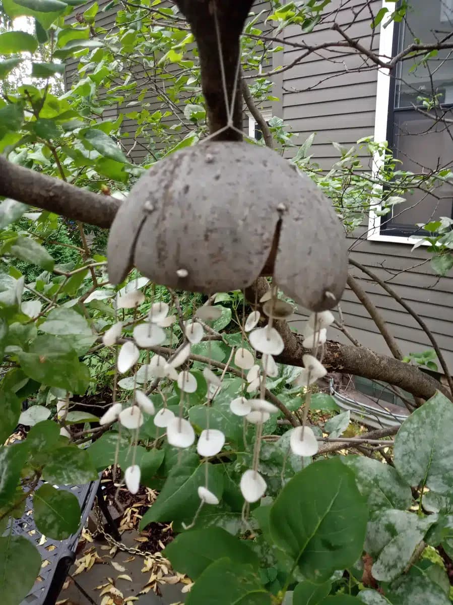 NUWAY I - Thumbnail 6