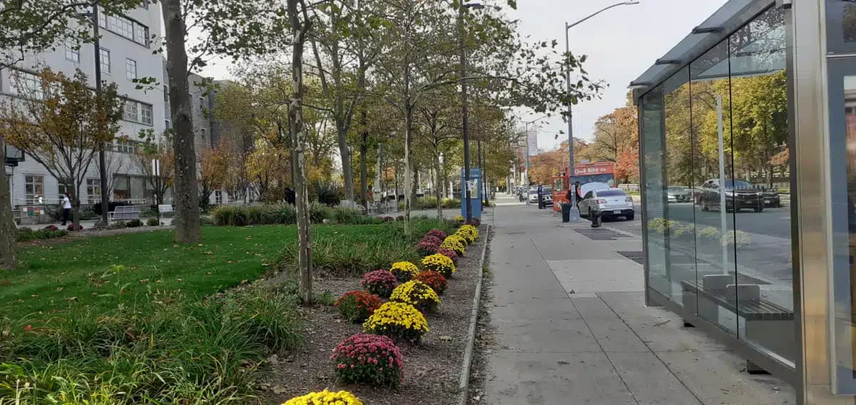 NYCHHC/Jacobi Medical Center - Thumbnail 8