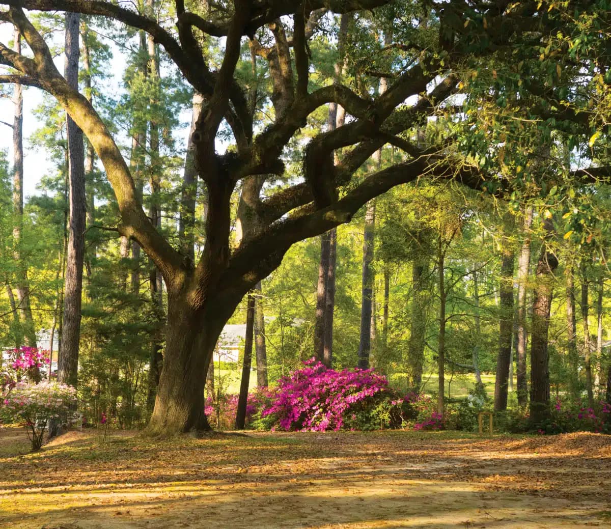 Narconon Louisiana - Thumbnail 10