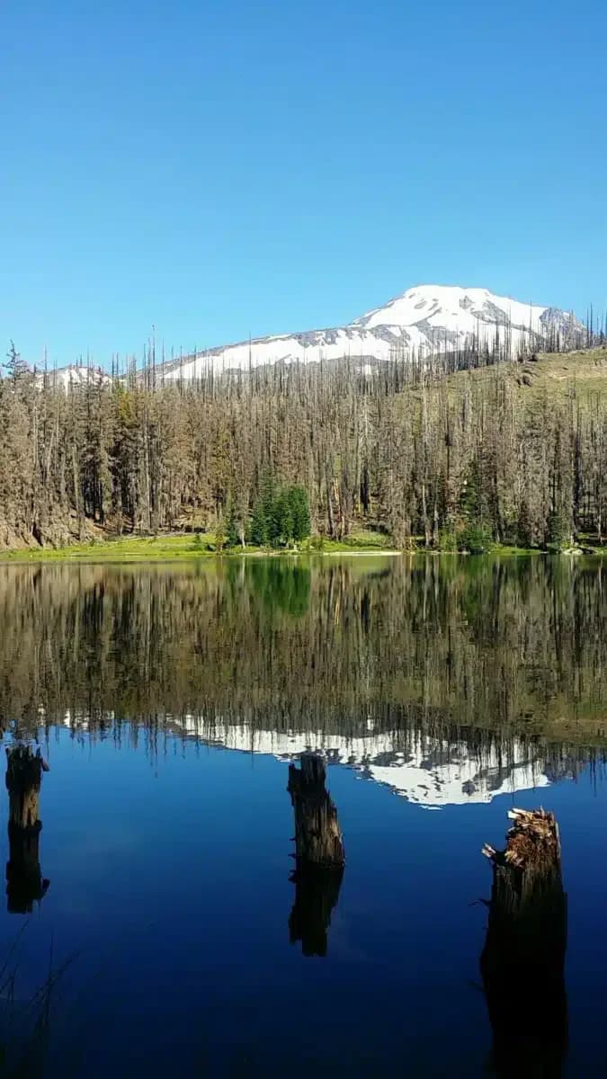 Native American Rehabilitation - Thumbnail 3