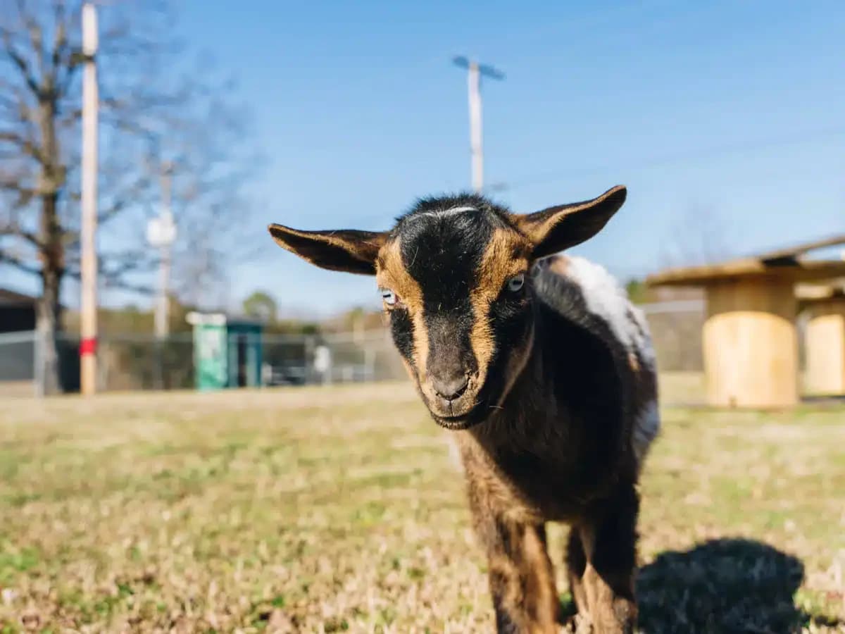 Natural State Recovery Centers - Thumbnail 8