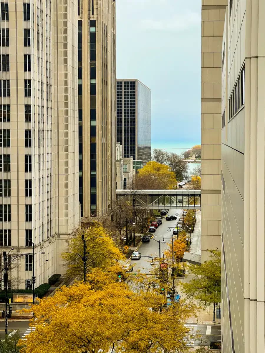 Near North Health - Thumbnail 2