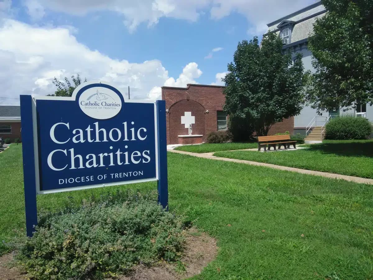 New Choices - Thumbnail 5