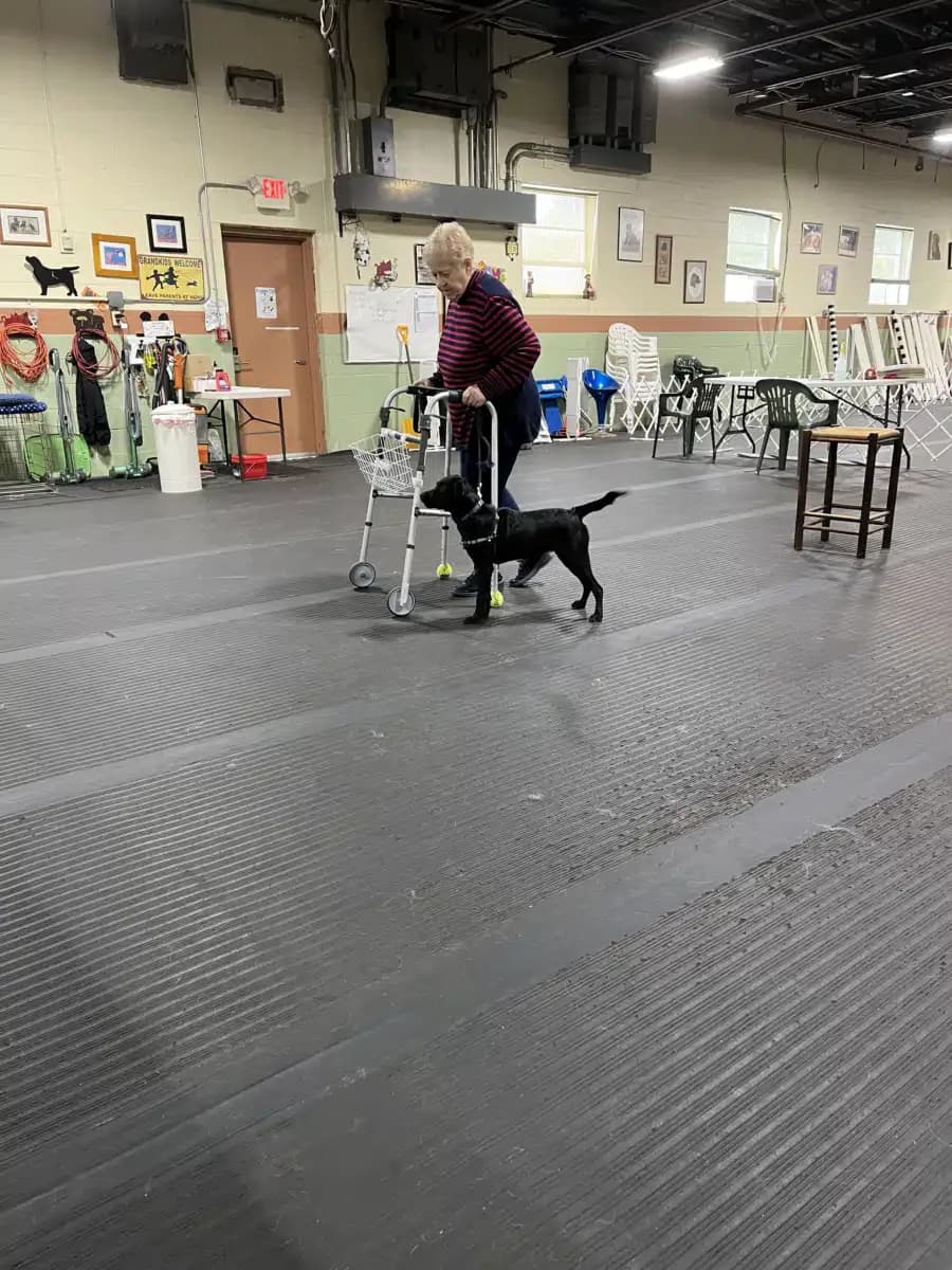 New England Counseling Services LLC - Thumbnail 4