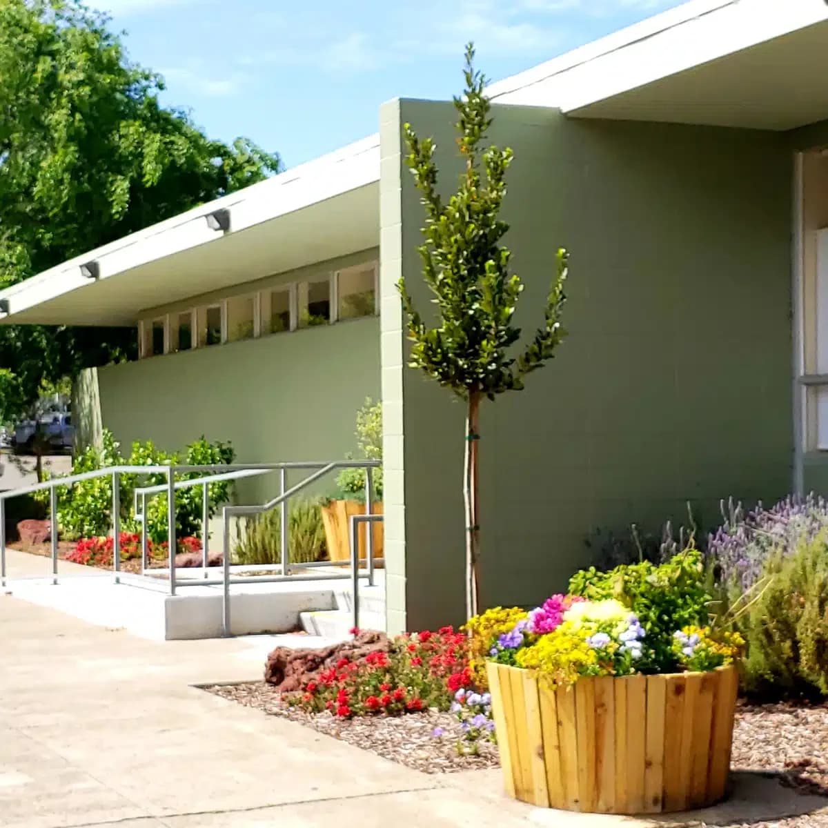 New Life Health Authority - Thumbnail 5