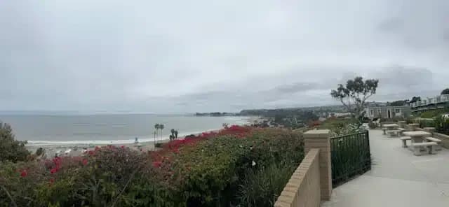 New Method Wellness - Thumbnail 8