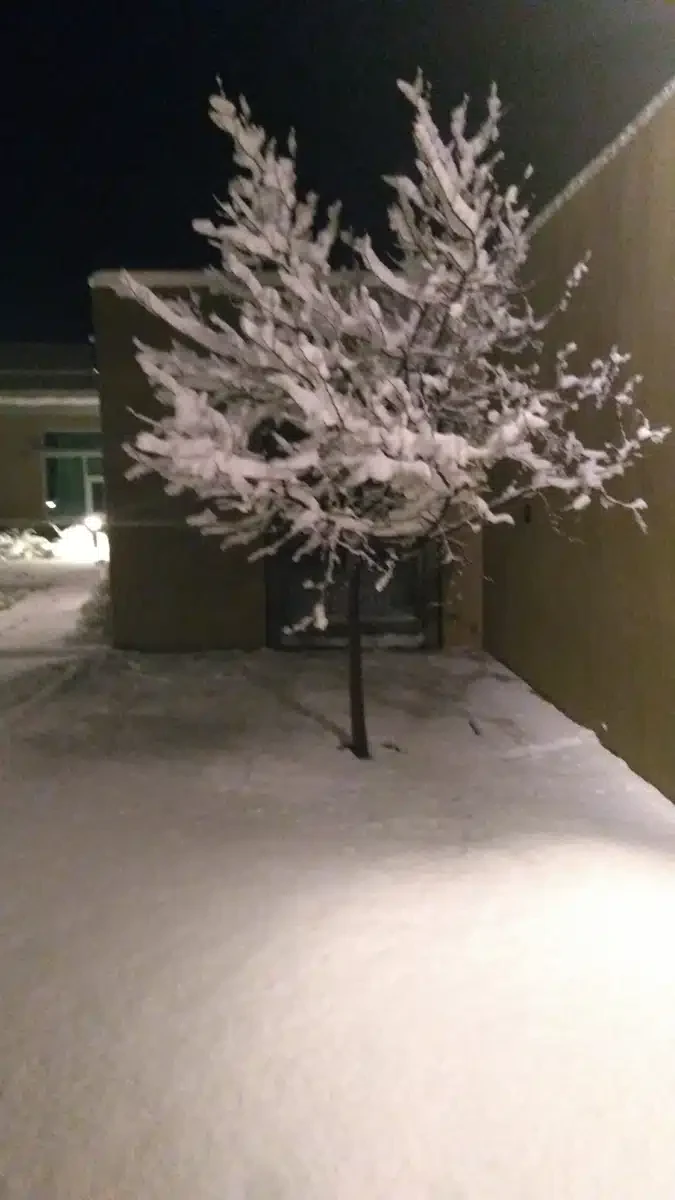 New Mexico Behav Health Institute - Thumbnail 8