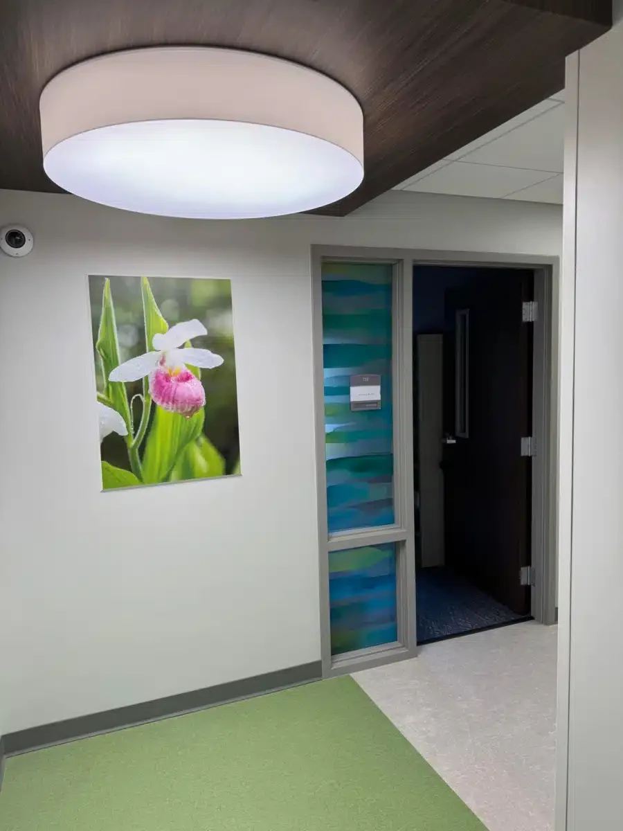 New Vista - Thumbnail 8