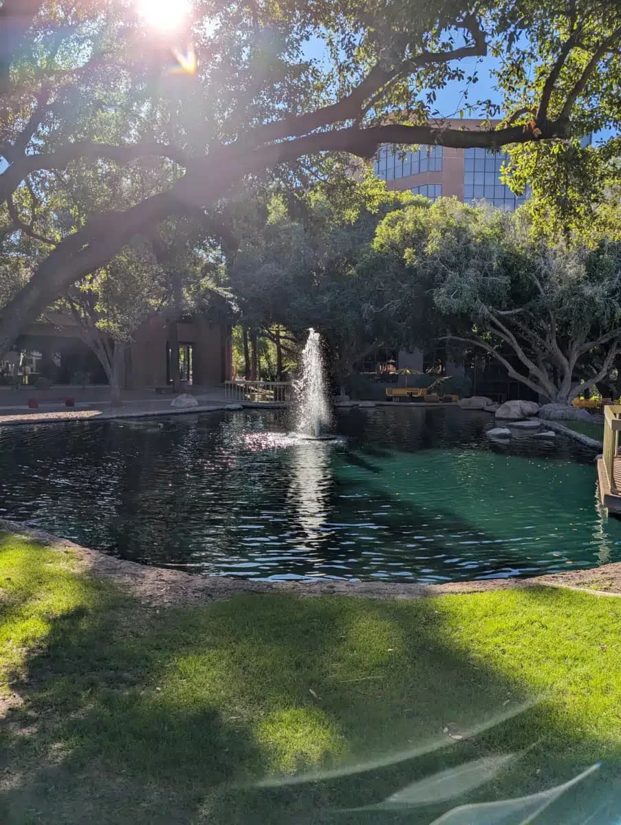 NorthSight Recovery - Thumbnail 10