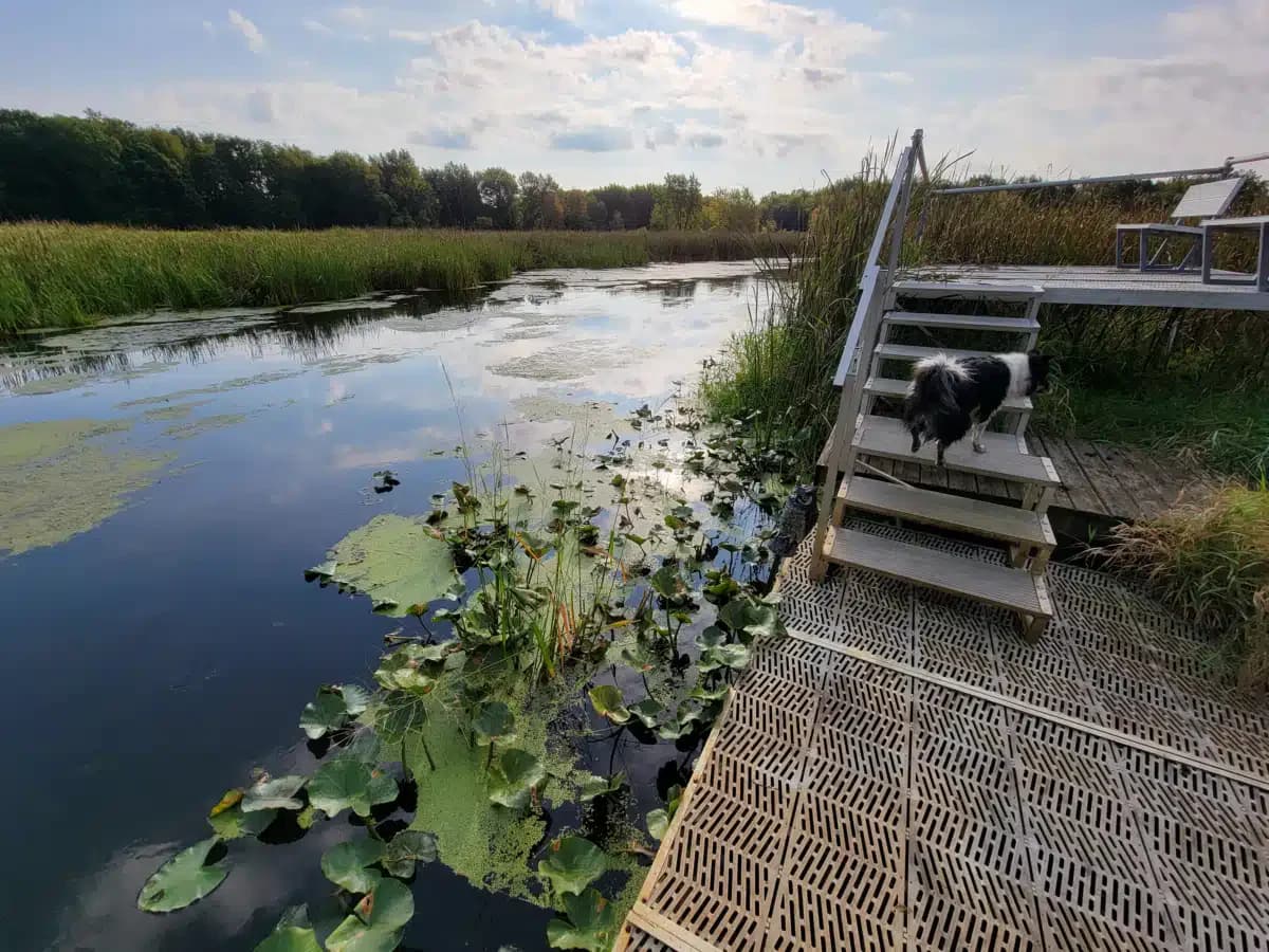Nottawaseppi Band of the Potawatomi - Thumbnail 6