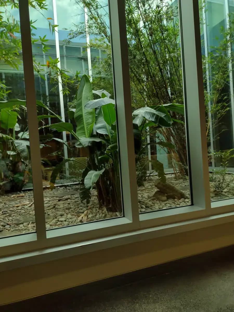 Ochsner Addictive Behavior Unit - Thumbnail 9